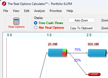 Capture d'écran du calcul des options réelles